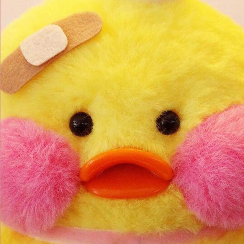そらまめ