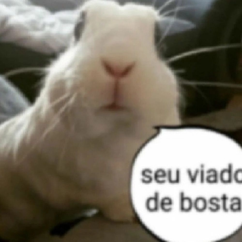 Ju