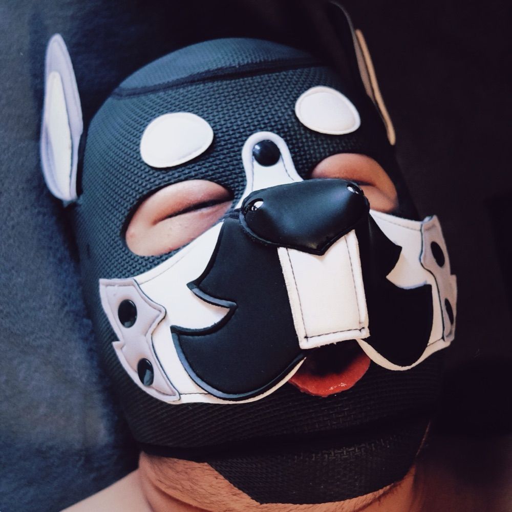 来福🐶