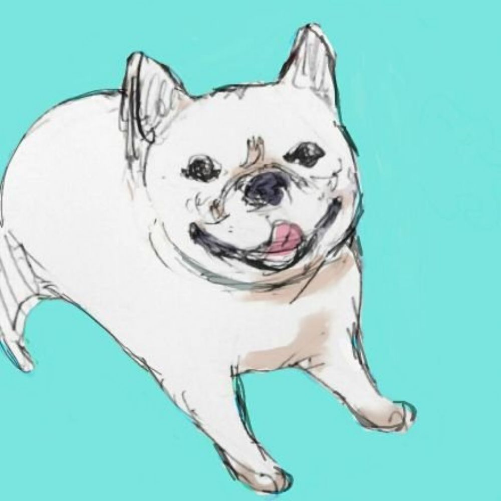 machiyo