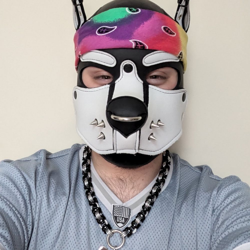 Pup Sprocket