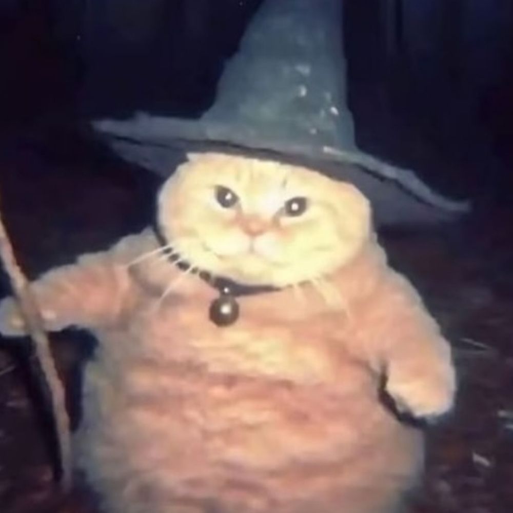 좋은 하루 보내 🐈‍⬛🐈