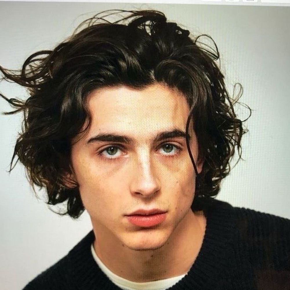 Timothée Chalamet Daily 