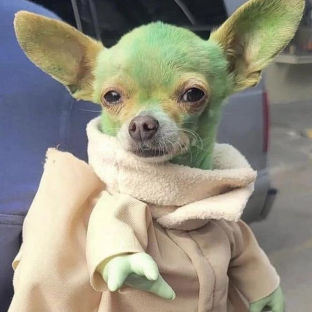 리처드