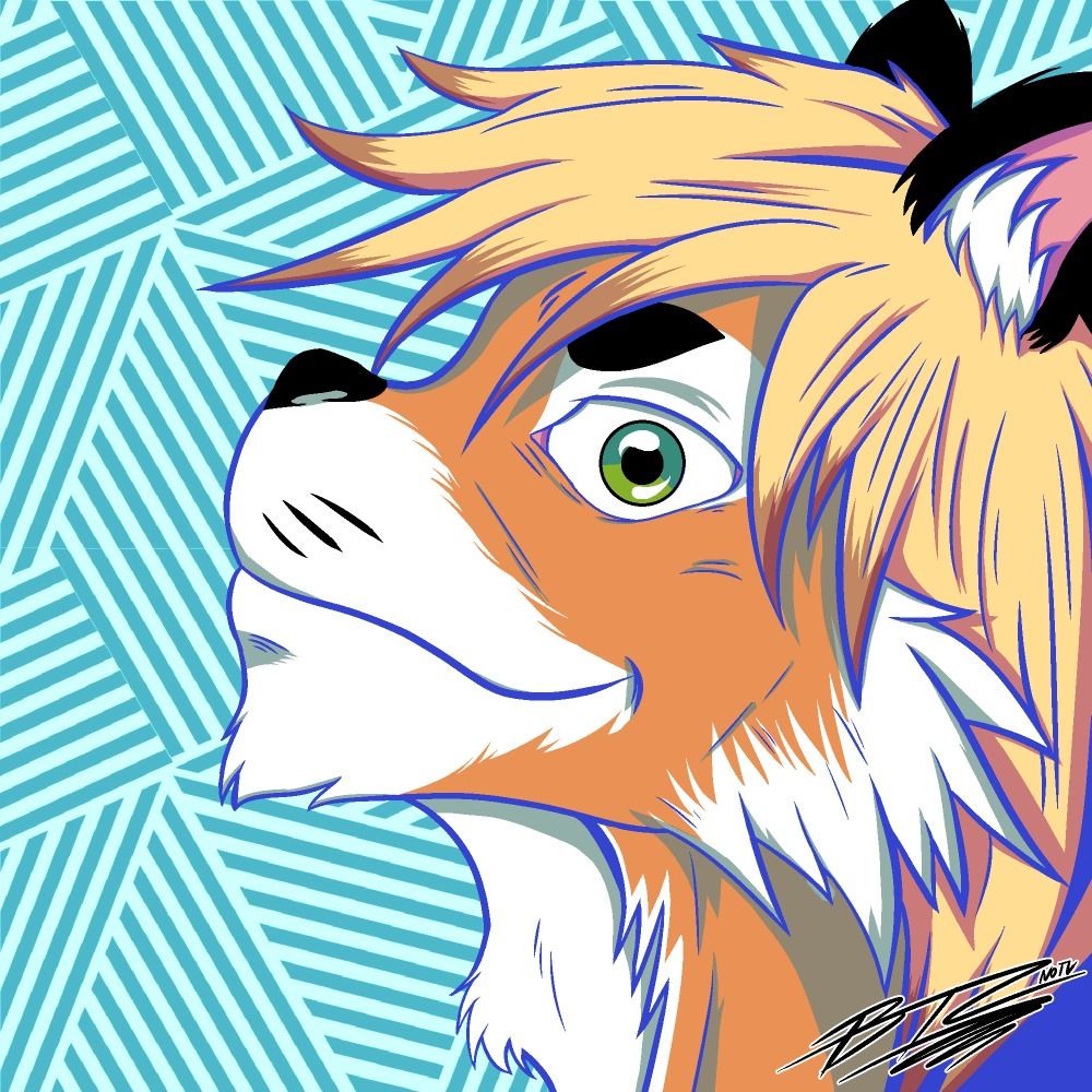 Koge 🐯