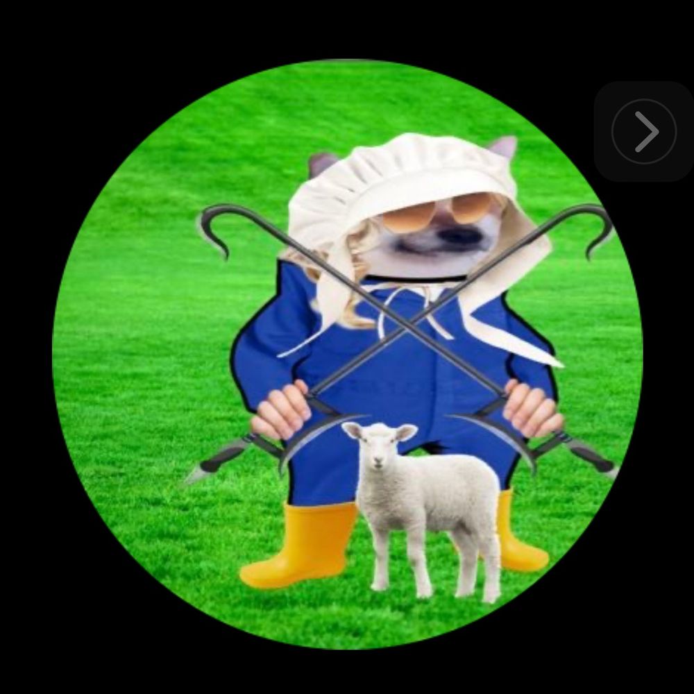 4EveryChild @annfinster 🇺🇸🏴󠁧󠁢󠁳󠁣󠁴󠁿🇮🇪🇩🇪🇫🇷🇺🇦