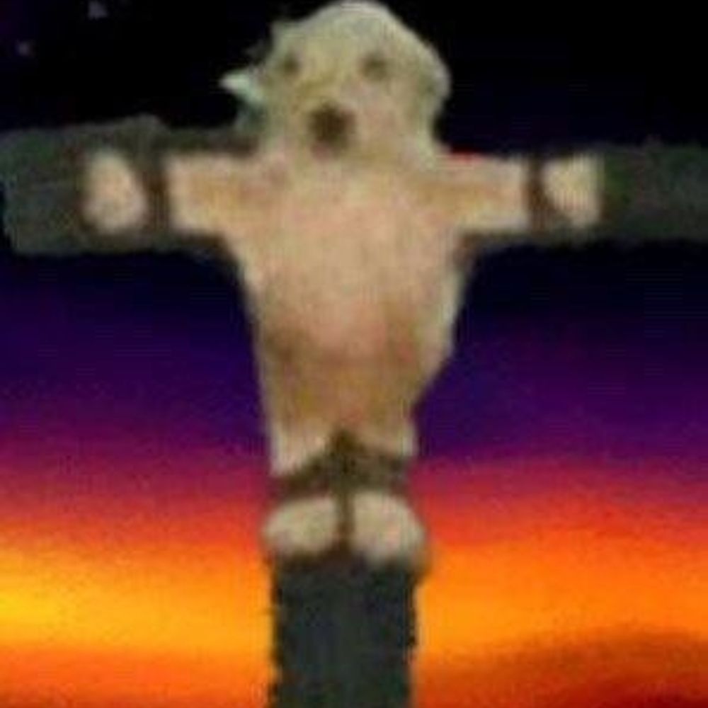 dave2
