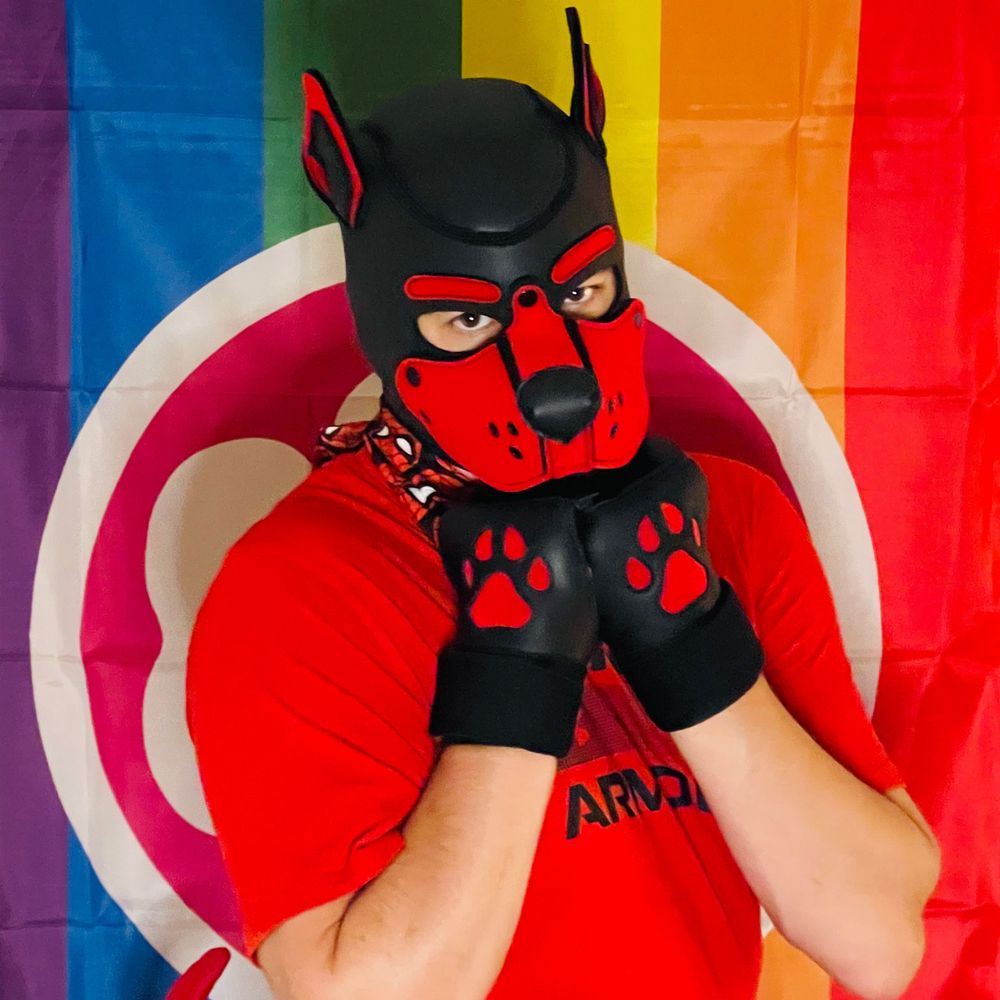 Pup Wade