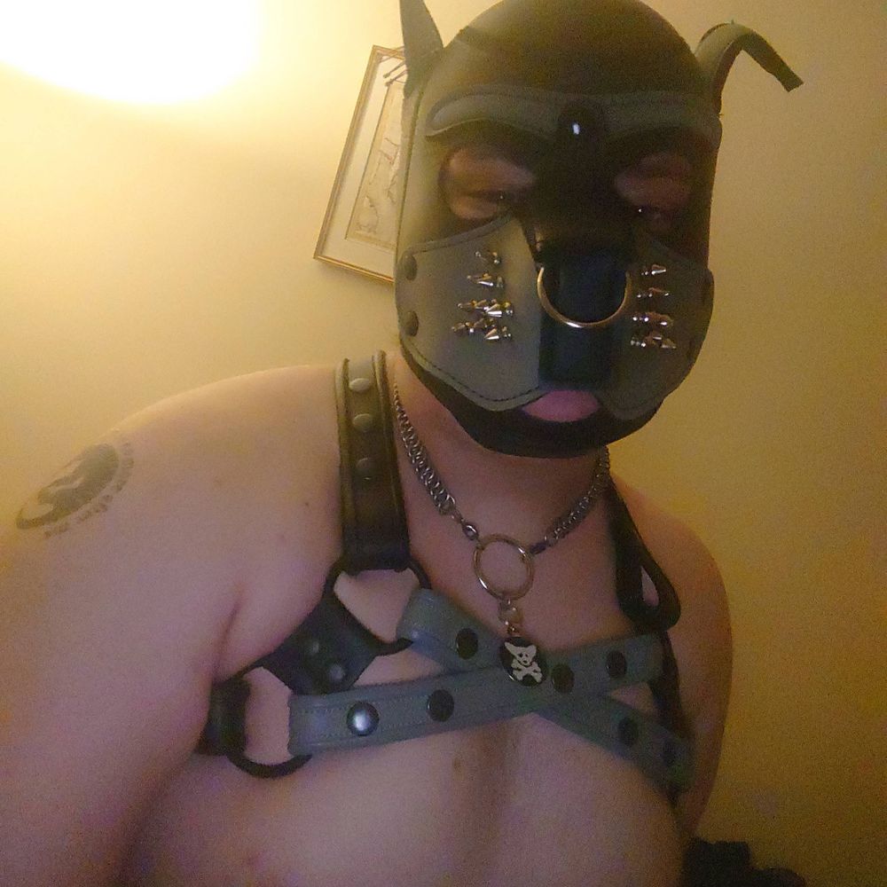 Pup Punk