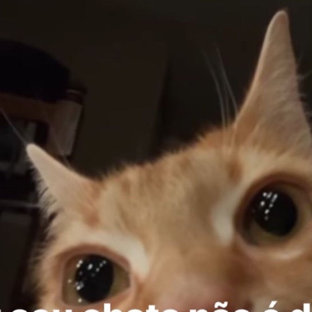 Clarissa 