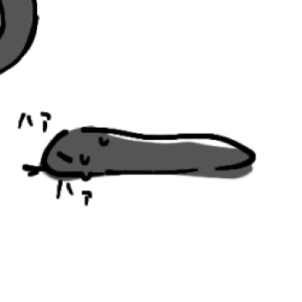 くこ