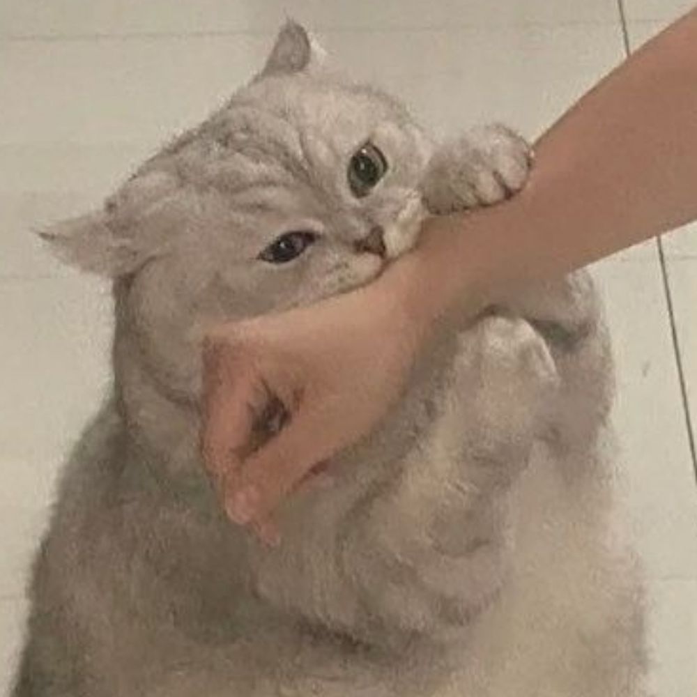몽이