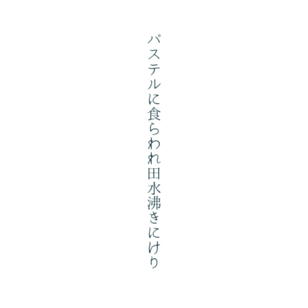 ﾔ