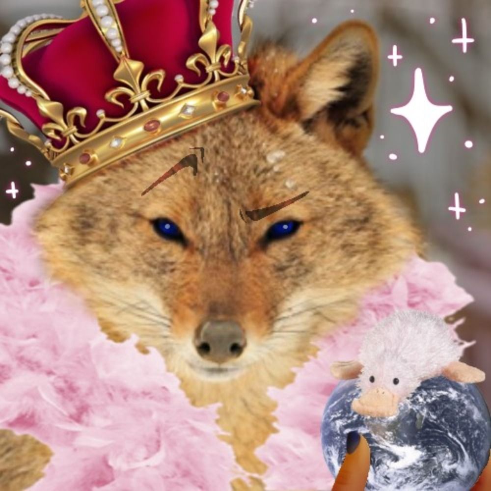 ﾟ† Troubles †☆*ﾟ
