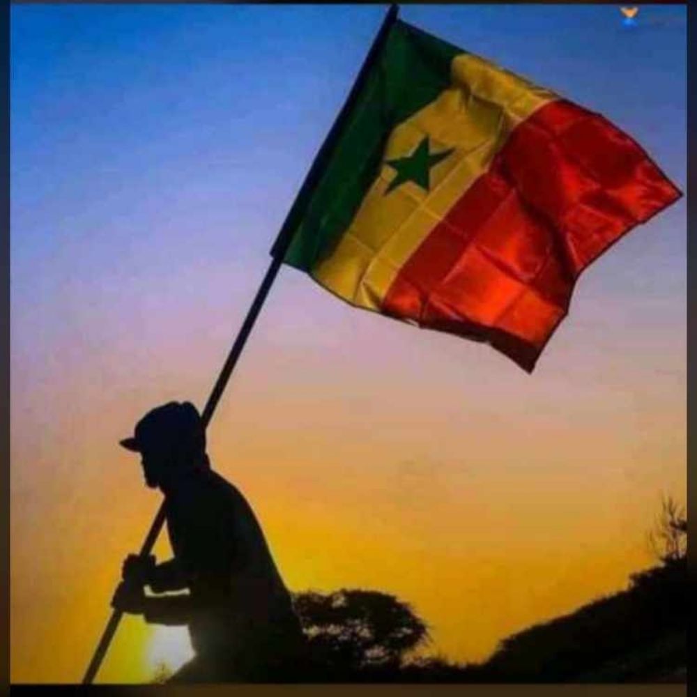 Curry🇸🇳