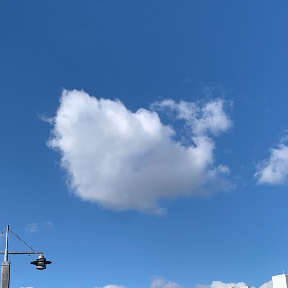 きょむ