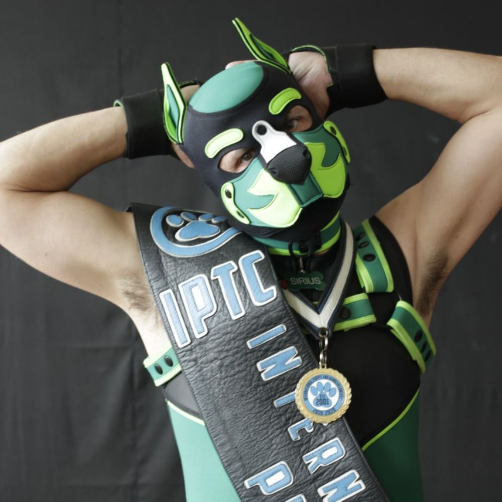 Pup Sirius- IPTC Puppy 2019-22