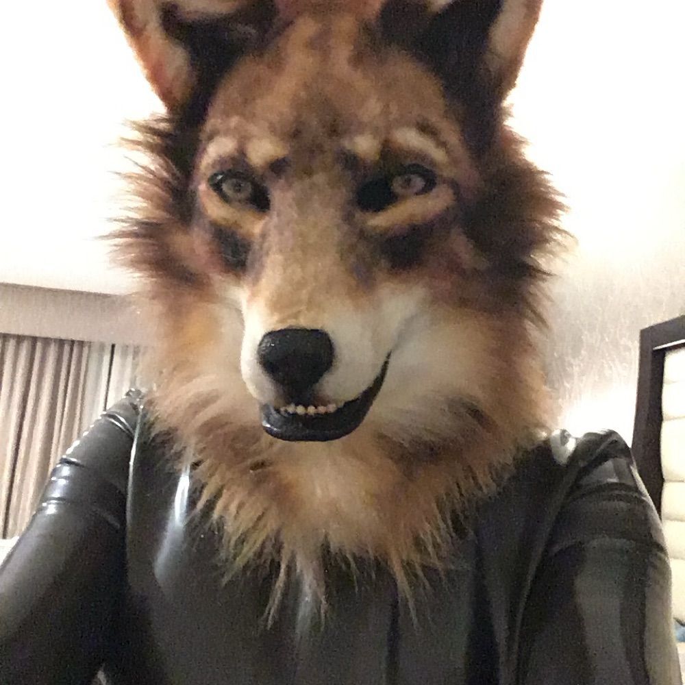Werewolf Boyfriend