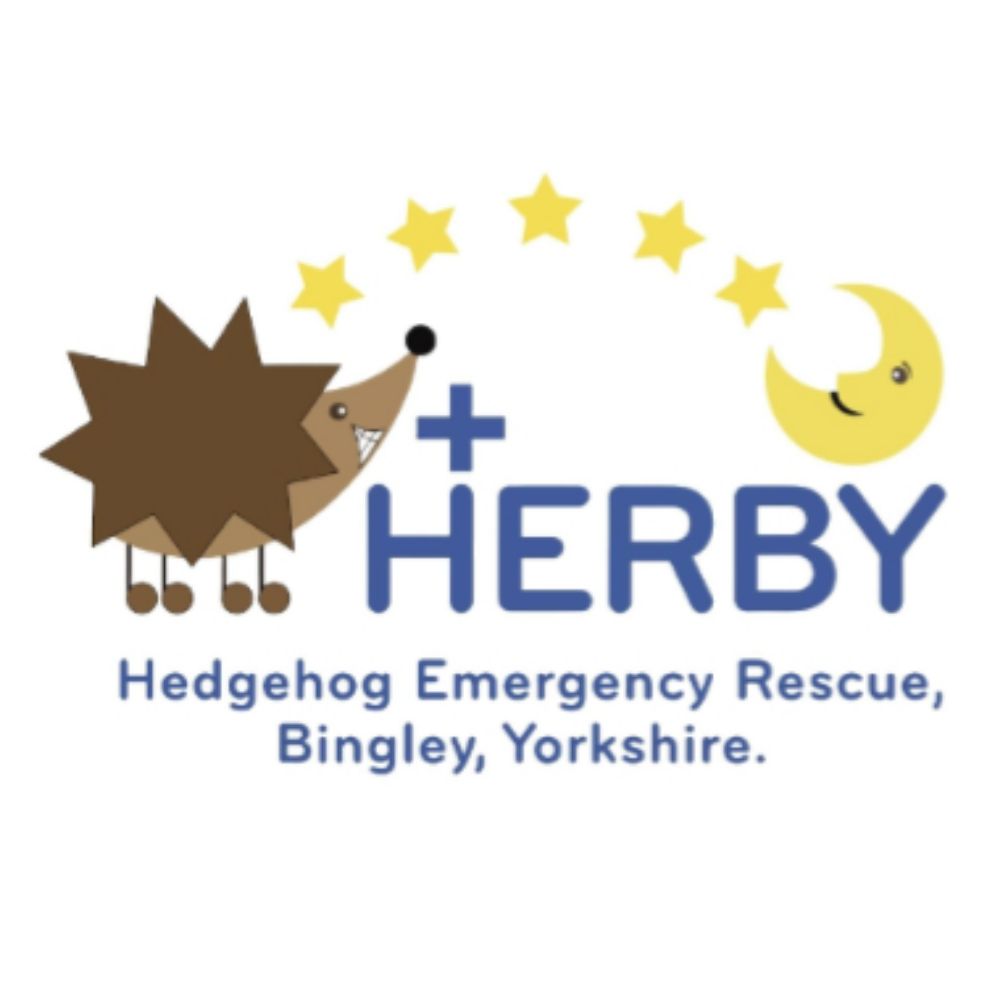 HERBYHedgehogs