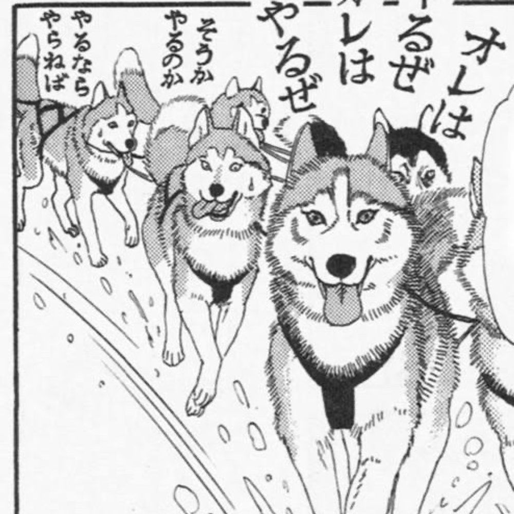 かっきー