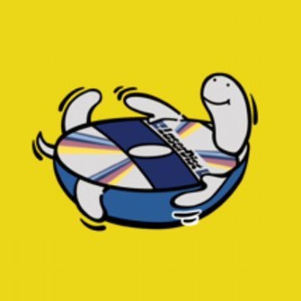 Laserdisc Turtle (Ewan)