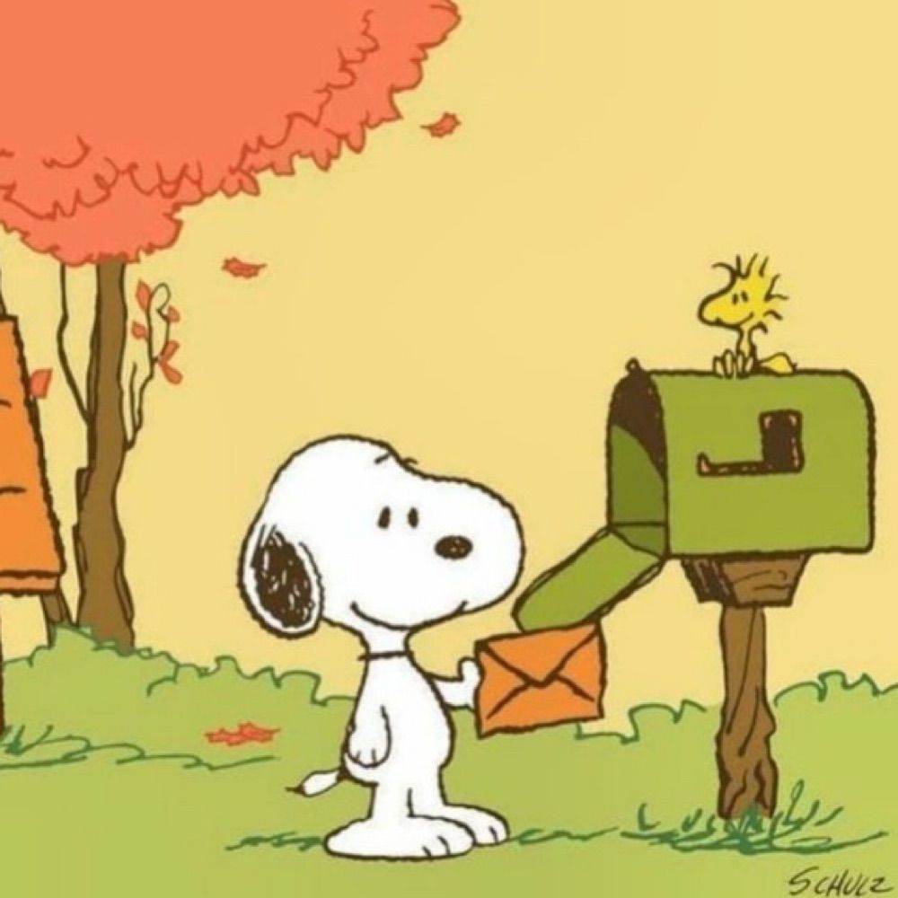 fall atreides 🦃🍁🍂