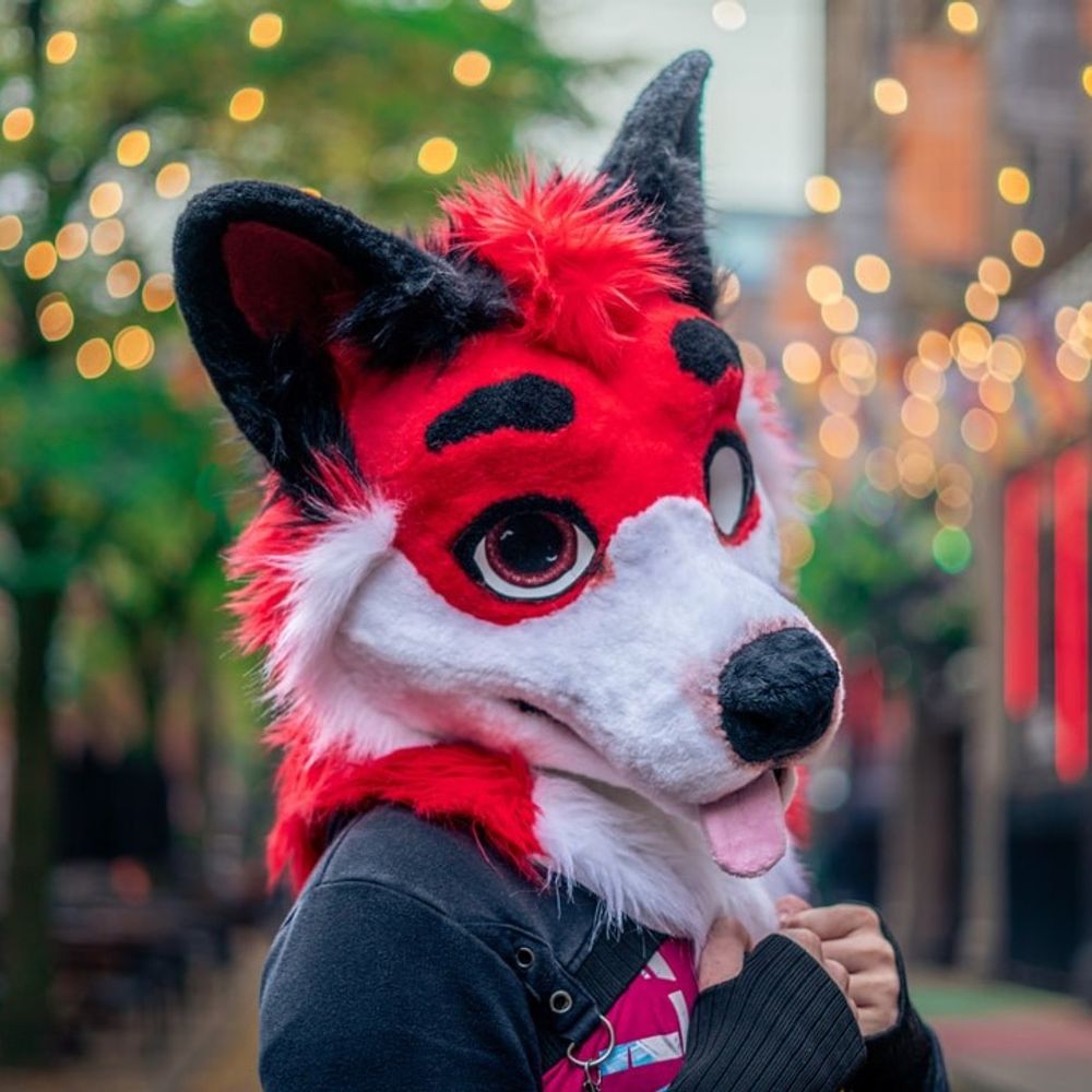 Joeyfoxo
