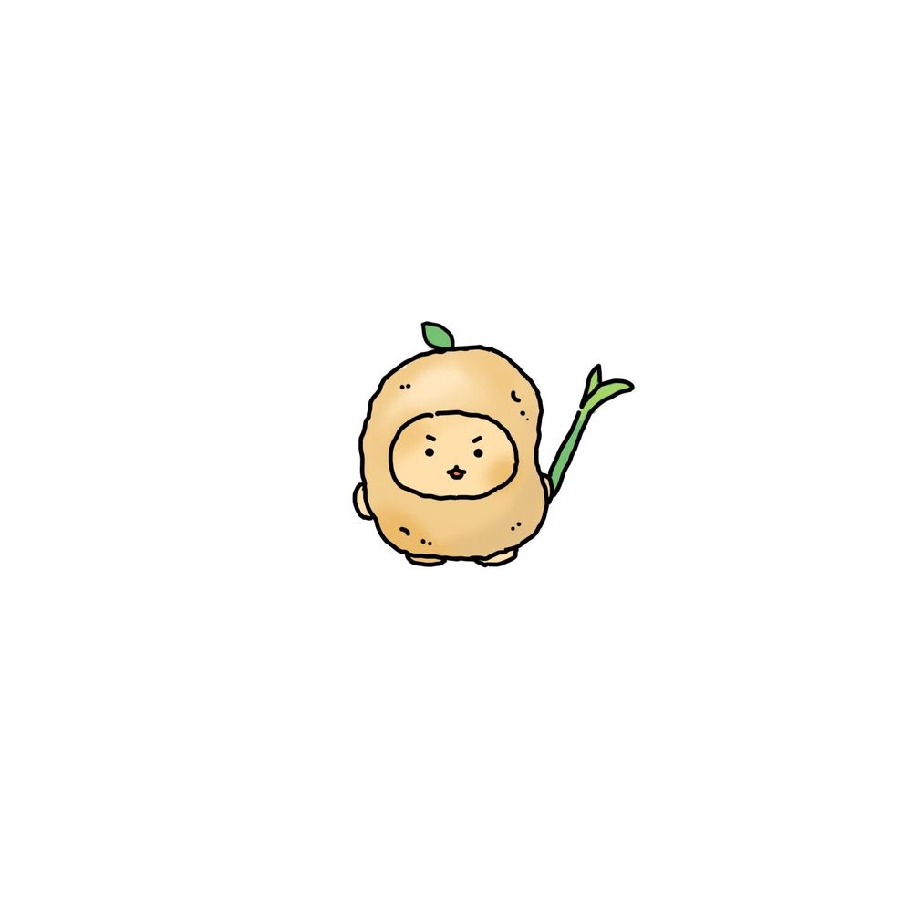 보쌈보이