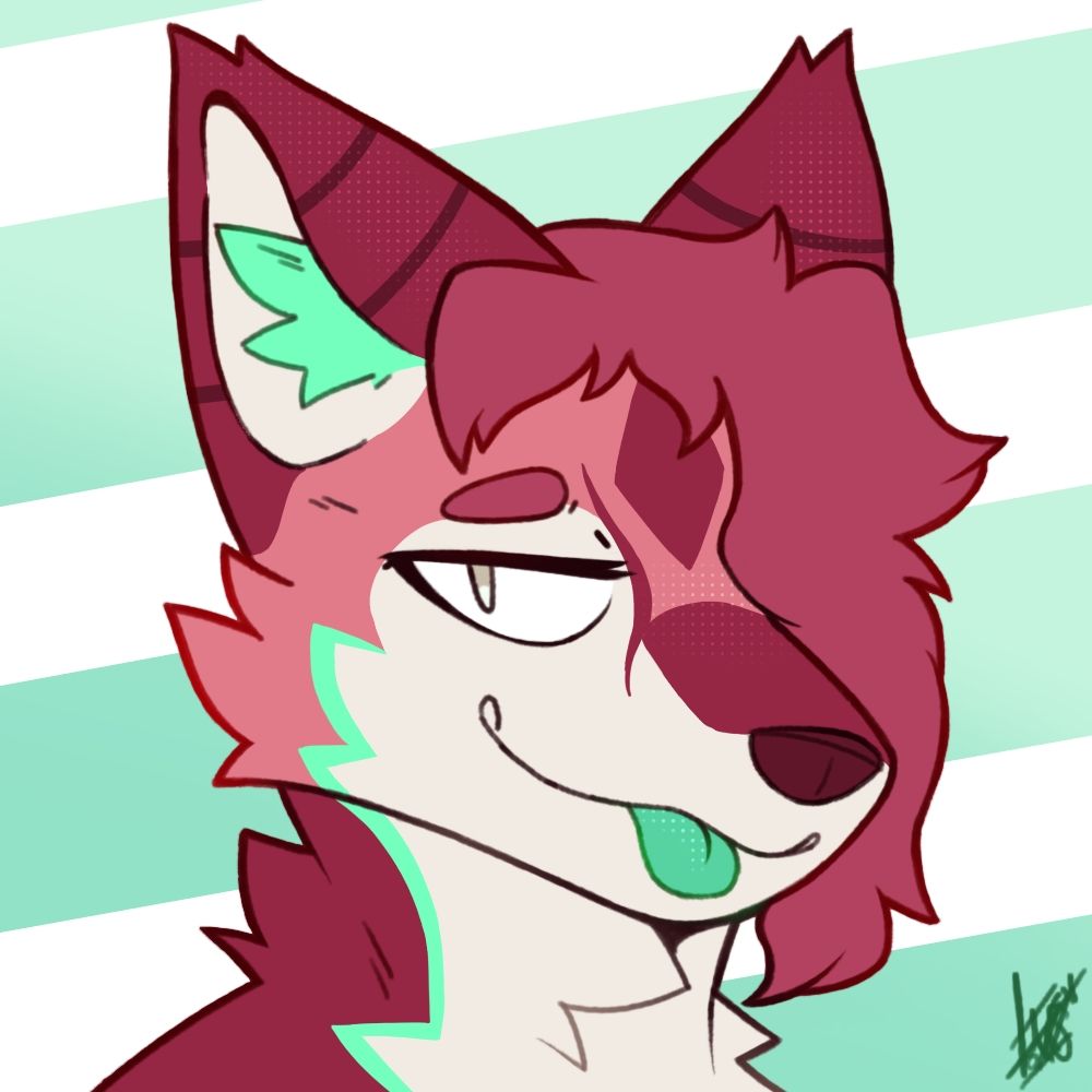 NSfoxxer