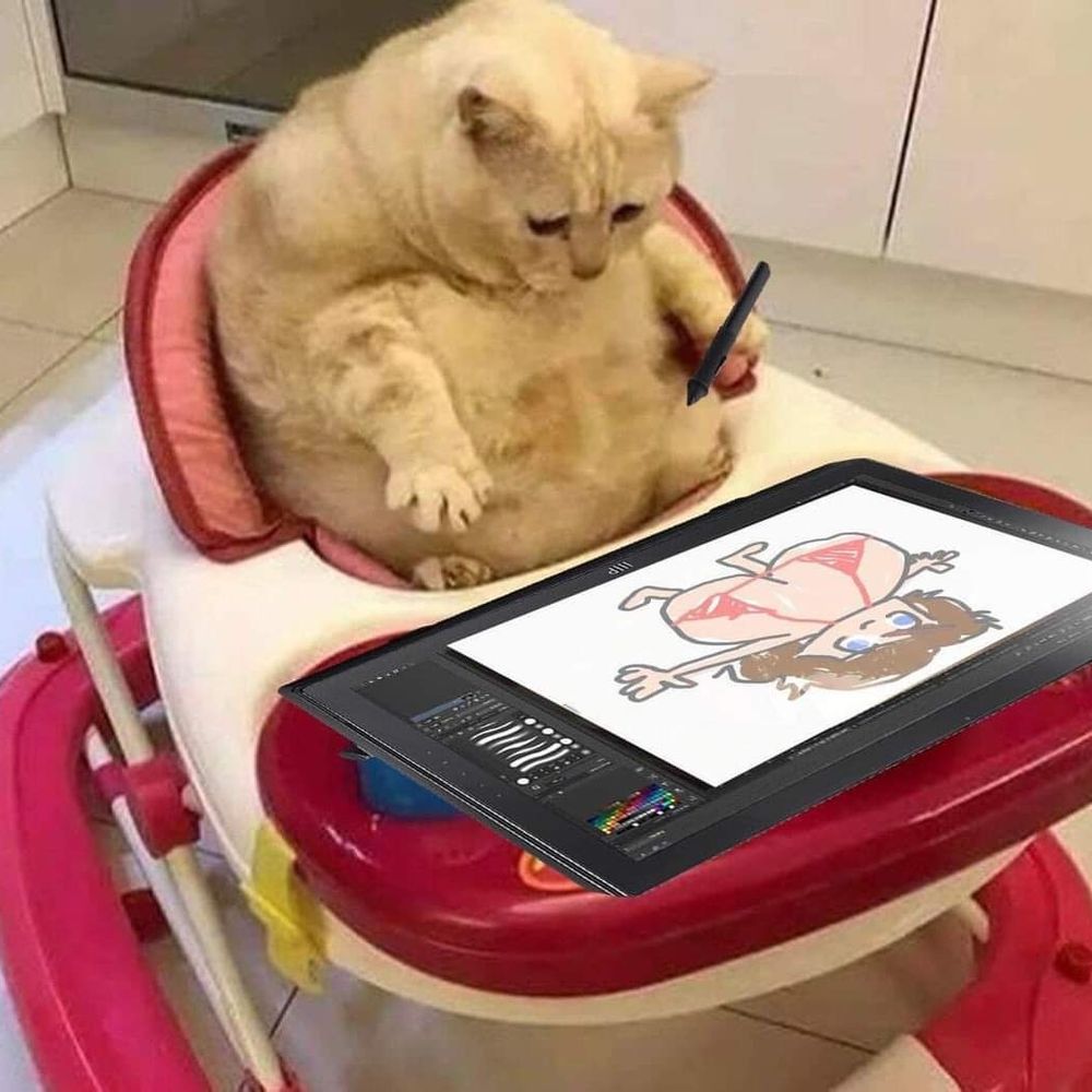 PAWGY3D