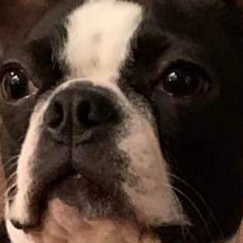 Charlie