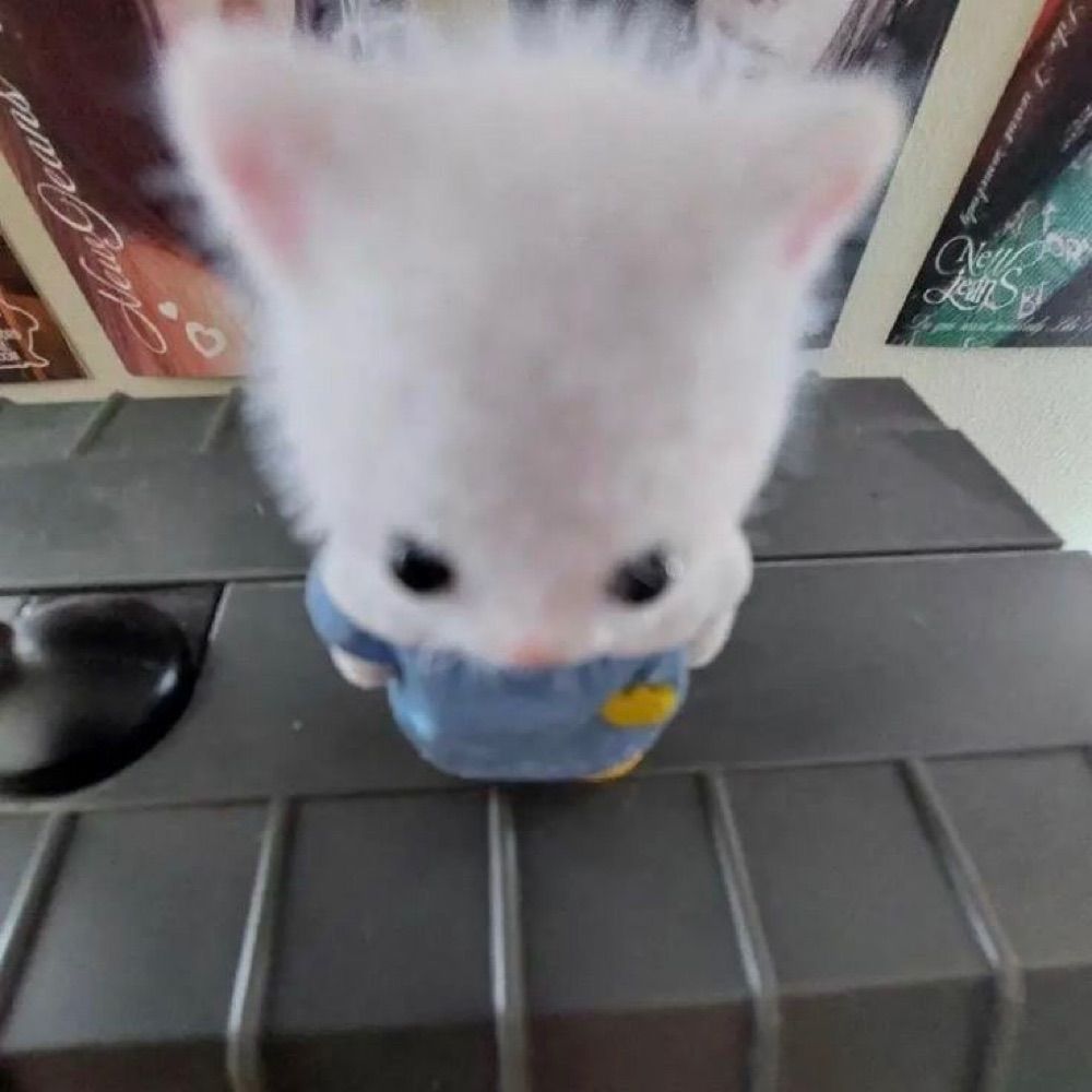 별이