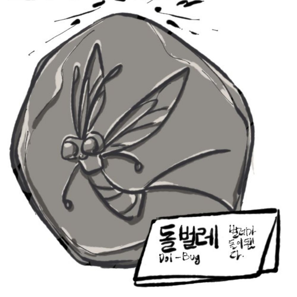 돌벌레