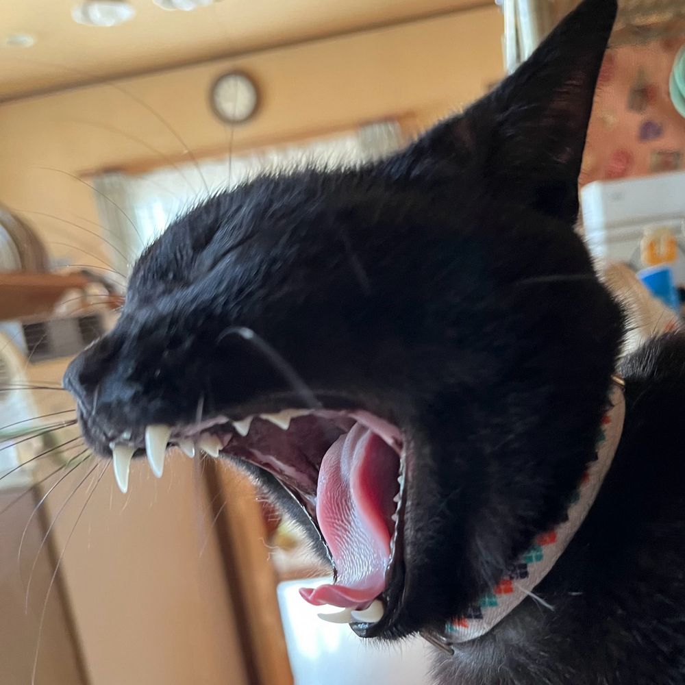 おでん