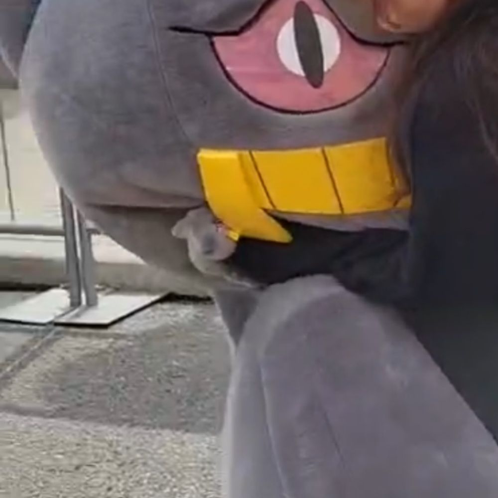 ポやし