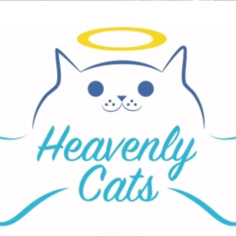 Heavenly Cats Sanctuary