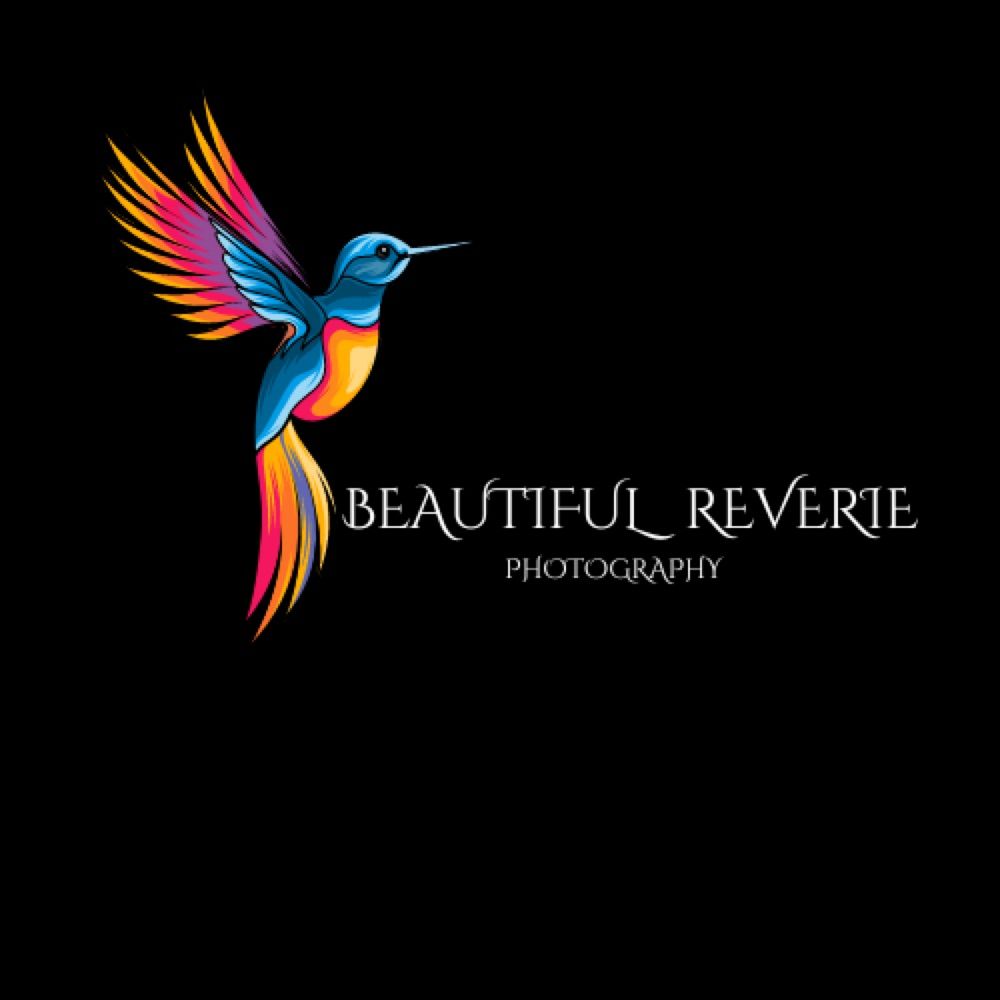 Beautiful Reverie Photography