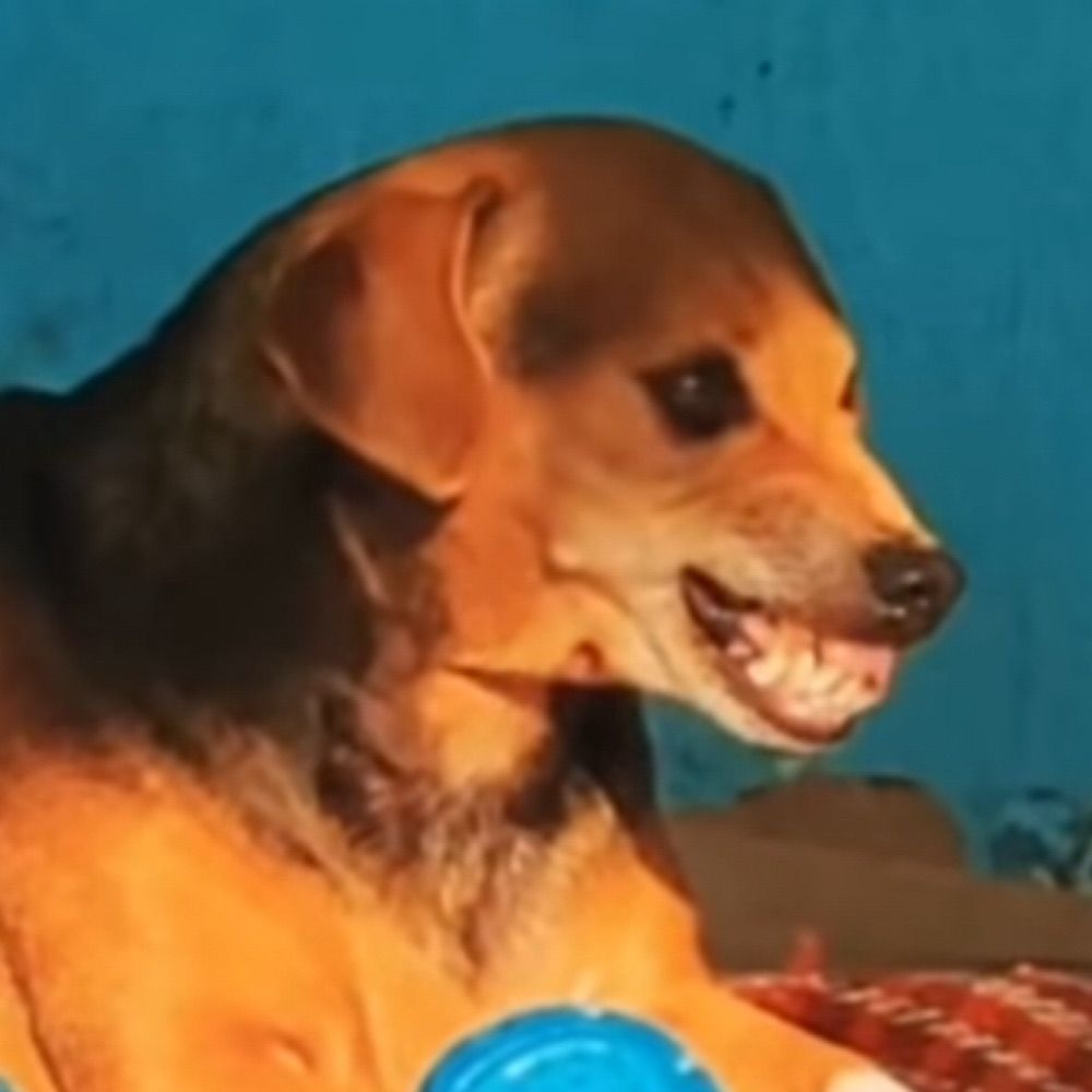 Vet de centavos