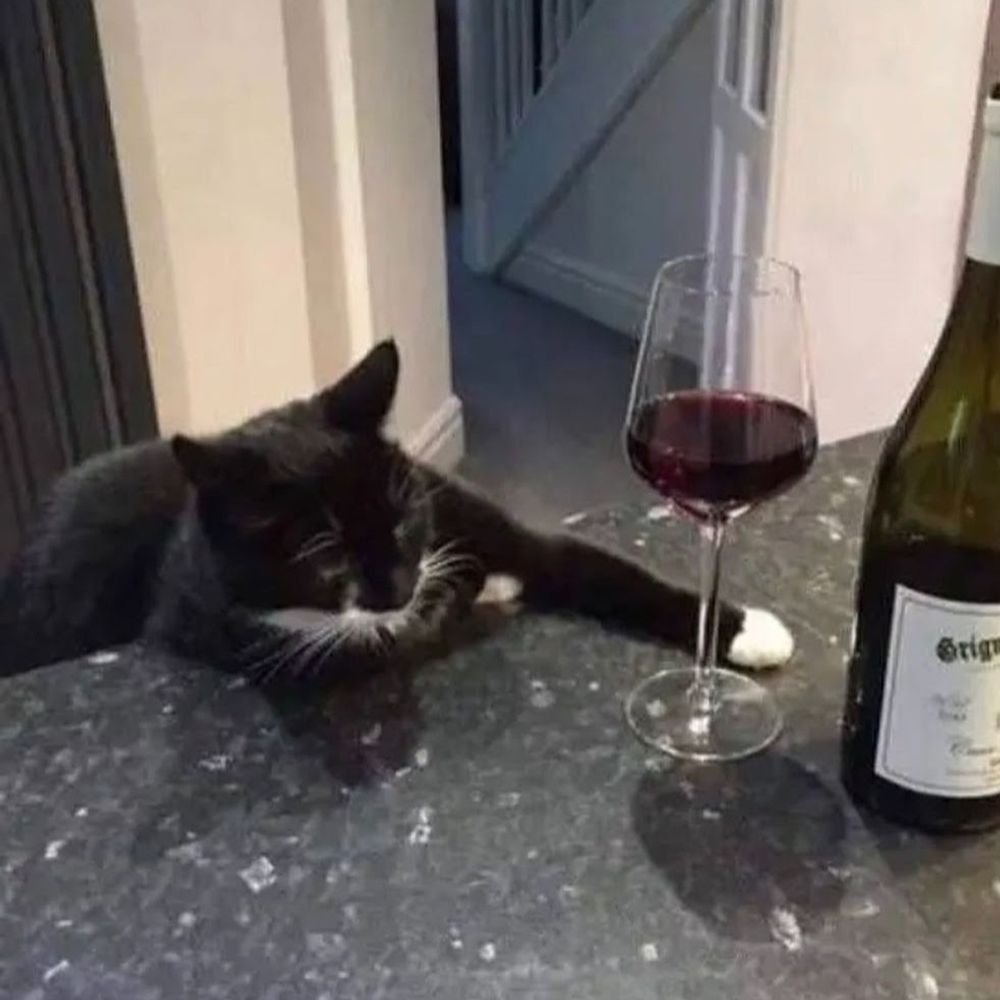 WineKitty