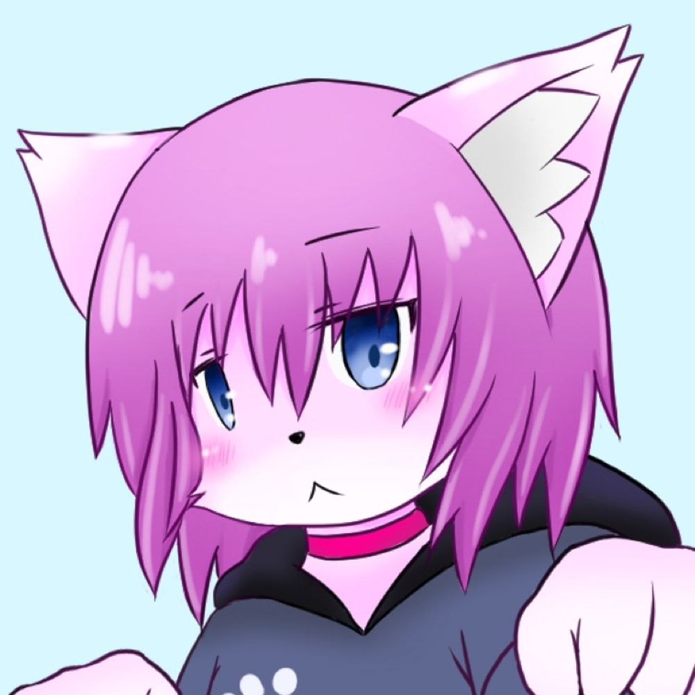 kouki