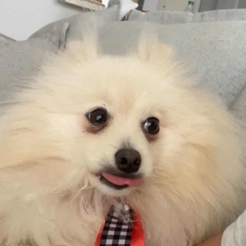 Preciso cortar o cabelo