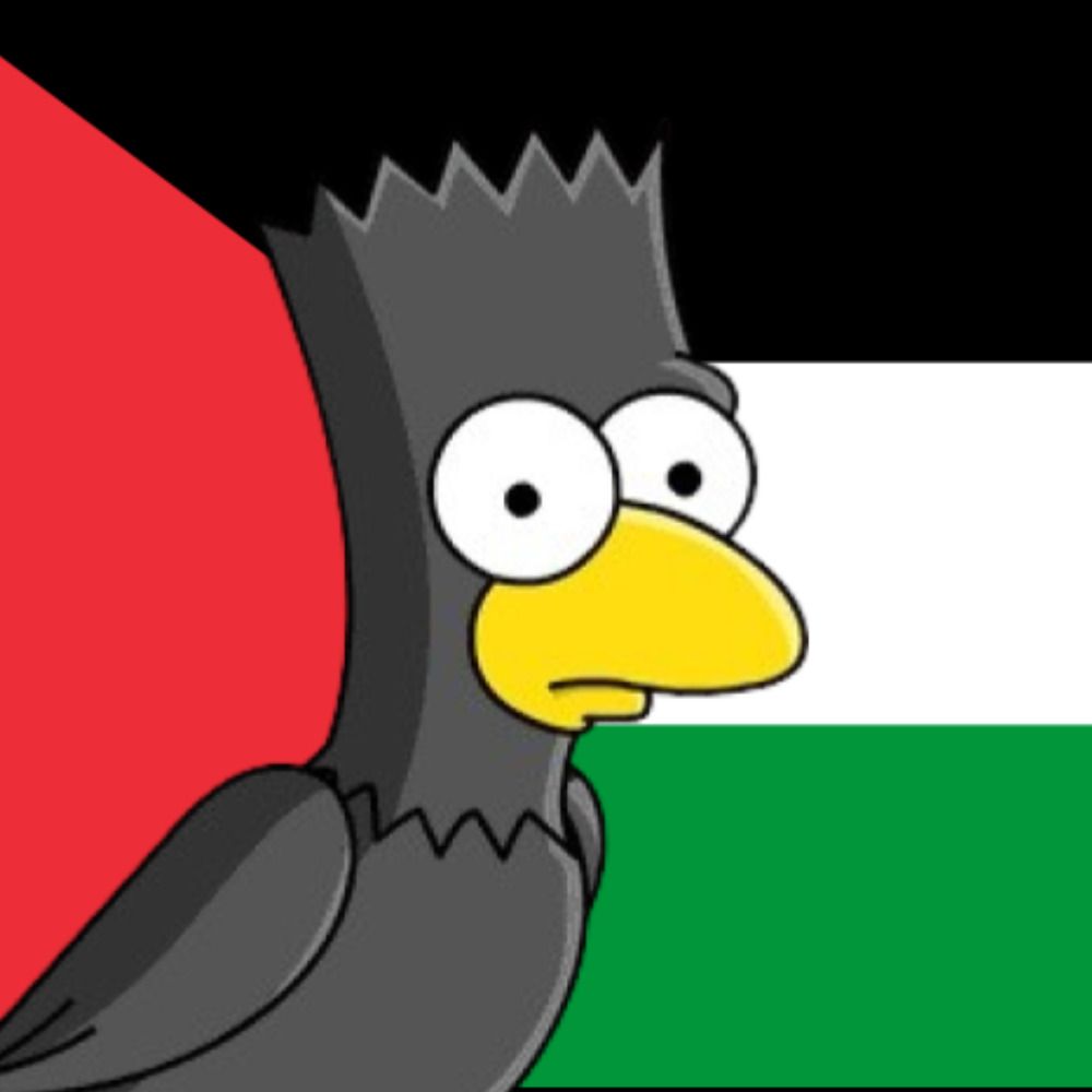 albahead🇵🇸the🇵🇸overtross