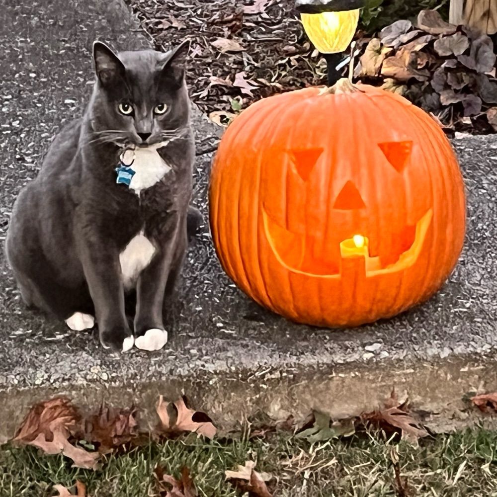 SweetPumpkin