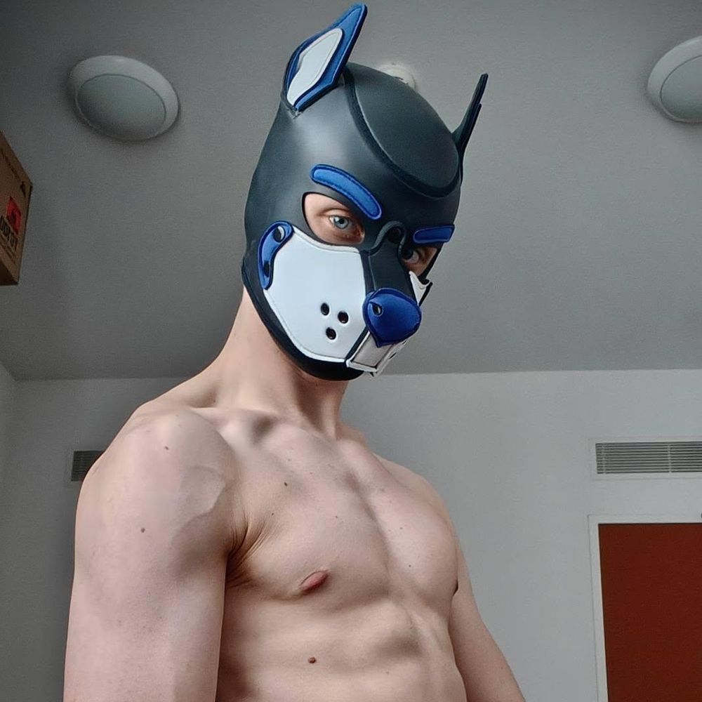 Pup Dutch 🔜 Doggyweekend 2025