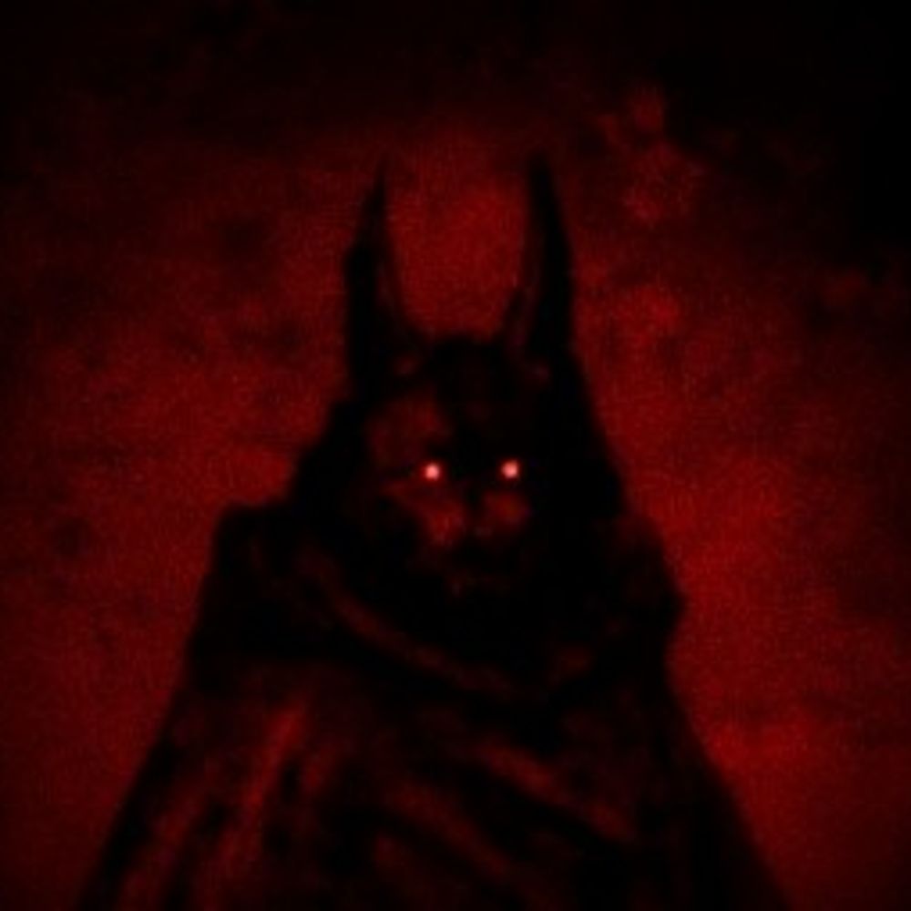 Nícolas-Fdsz