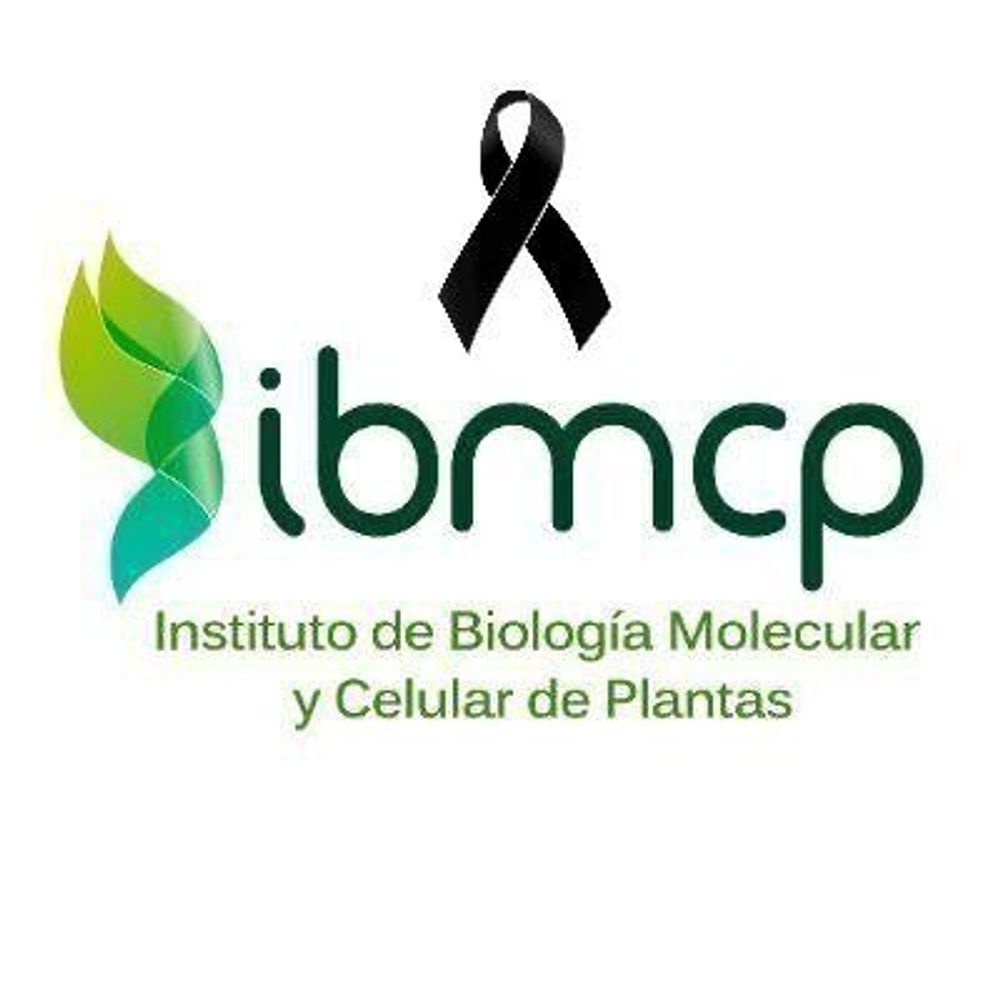 IBMCP - Instituto de Biología Molecular y Celular de Plantas