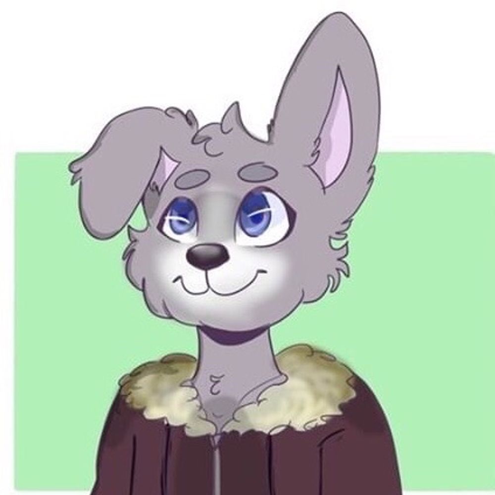 NotSoBunnyBoy