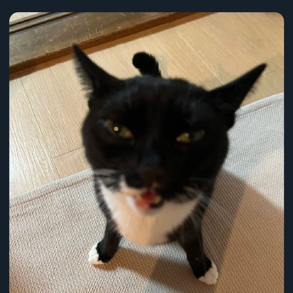 bing bong