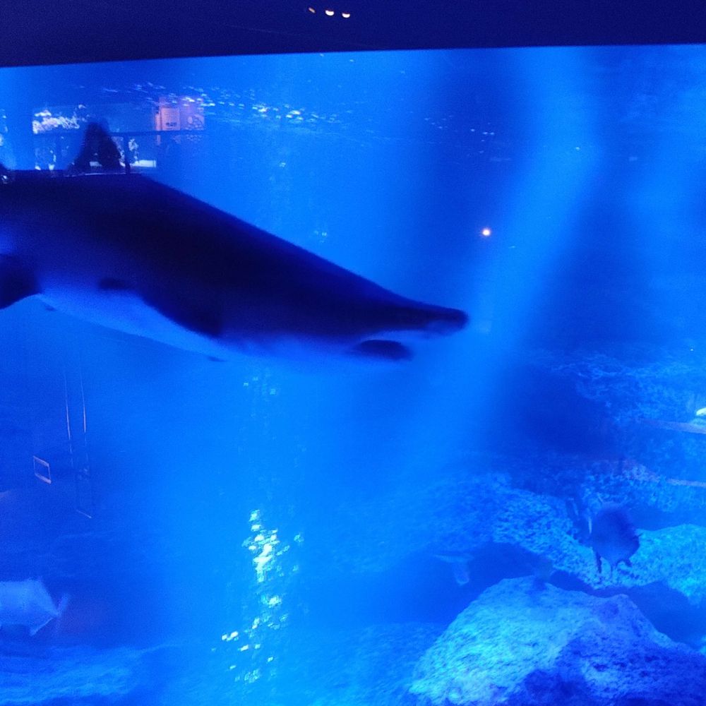 nakayamahagenki.bsky.social