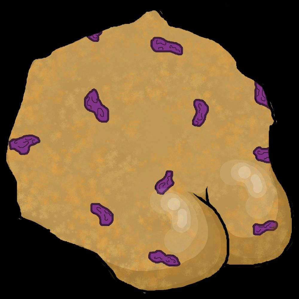 CookieSlutterVO